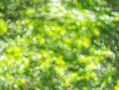 九游体育官网-欧冠倒计时,萨克拉门托国王赛前内部沟通,细节引发关注,更衣室稳定,细节决定成败的简单介绍